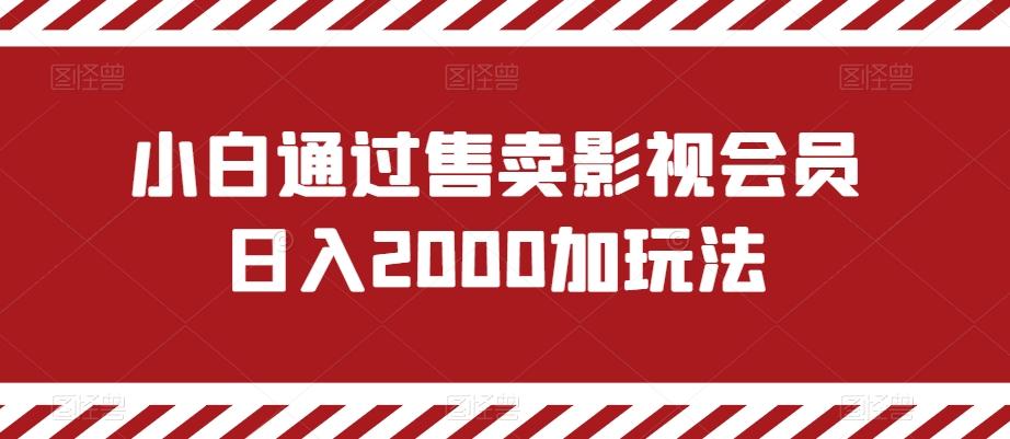 小白通过售卖影视会员日入2000加玩法-识享社