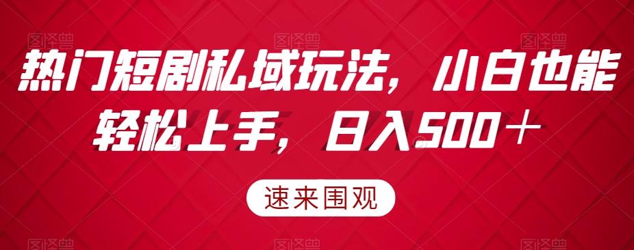热门短剧私域玩法，小白也能轻松上手，日入500＋-识享社