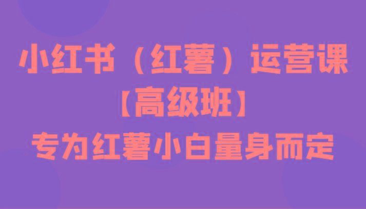 小红书(红薯)运营课【高级班】，专为红薯小白量身而定(42节课)-识享社