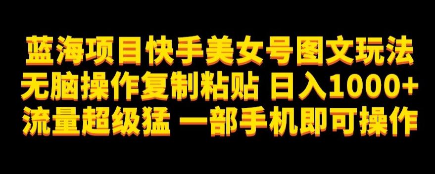 蓝海项目快手美女号图文玩法，无脑操作复制粘贴，日入1000+流量超级猛一部手机即可操作【揭秘】-识享社
