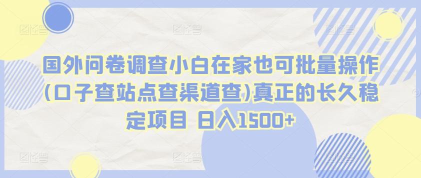 国外问卷调查小白在家也可批量操作(口子查站点查渠道查)真正的长久稳定项目 日入1500+【揭秘】-识享社