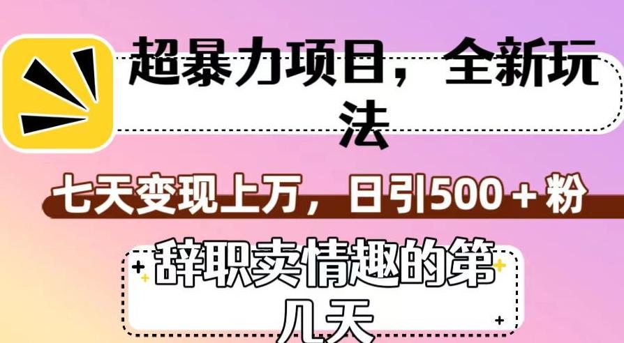超暴利项目,全新玩法(辞职卖情趣的第几天),七天变现上万,日引500+粉【揭秘】-识享社