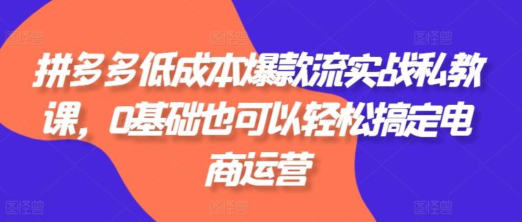 拼多多低成本爆款流实战私教课,0基础也可以轻松搞定电商运营-识享社