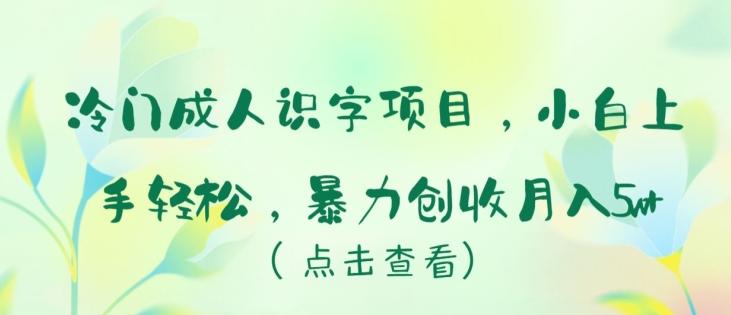冷门成人识字项目，小白上手轻松，暴力创收月入5w+【揭秘】-识享社
