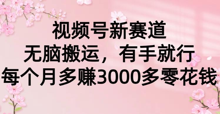 (9278期)视频号新赛道，无脑搬运，有手就行，每个月多赚3000多零花钱-识享社