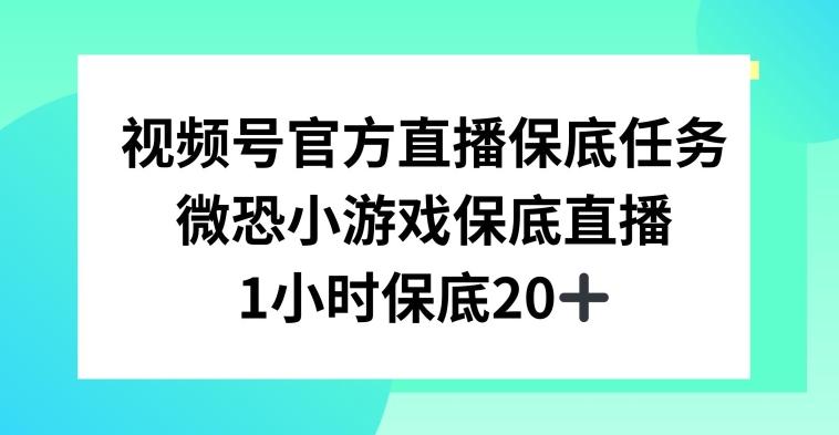 视频号直播任务，微恐小游戏，1小时20+【揭秘】-识享社