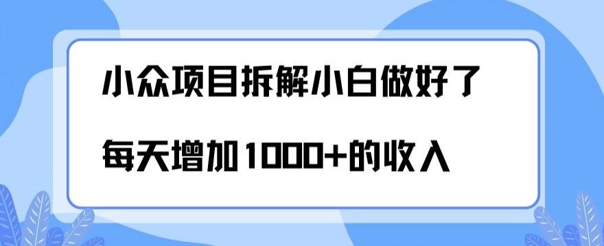 小众项目拆解,小白做好了每天可增加1000多的收入-识享社