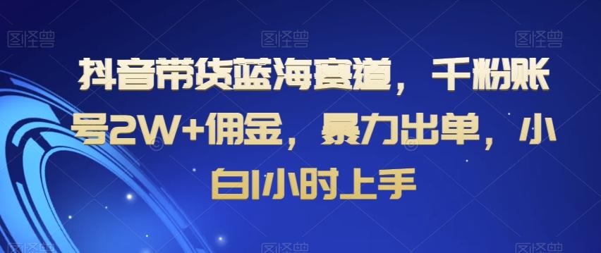 抖音带货蓝海赛道，千粉账号2W+佣金，暴力出单，小白1小时上手【揭秘】-识享社
