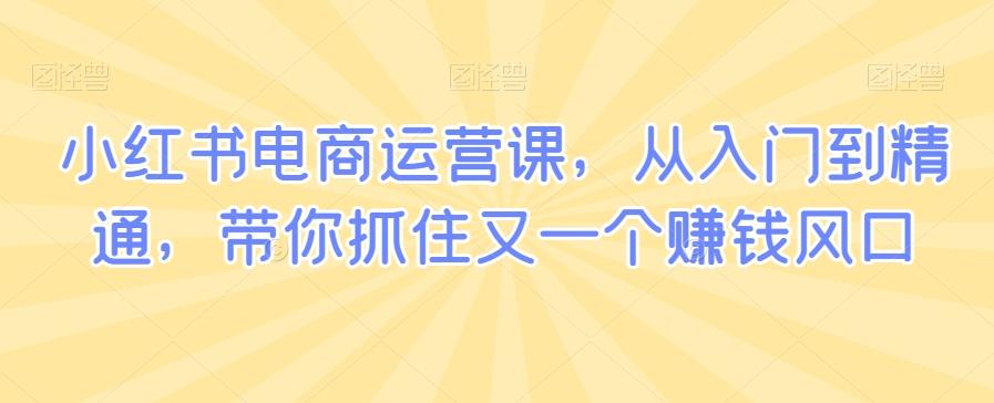 小红书电商运营课，从入门到精通，带你抓住又一个赚钱风口-识享社