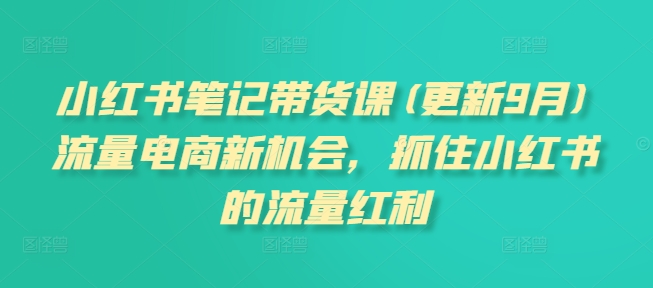 小红书笔记带货课(更新9月)流量电商新机会,抓住小红书的流量红利-识享社