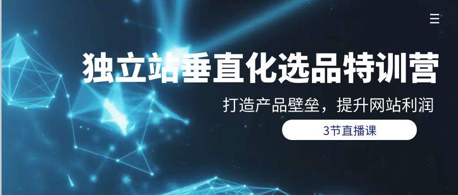 (9925期)独立站-垂直化选品训练营，打造产品壁垒，提升网站利润(3节直播课)-识享社