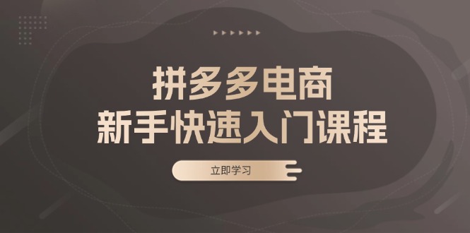 拼多多电商新手快速入门课程：涵盖基础、实战与选款，助力小白轻松上手-识享社
