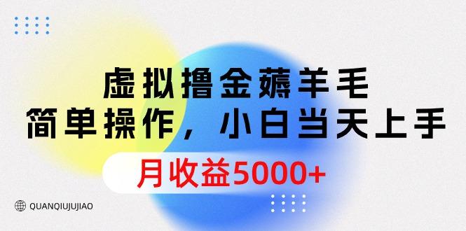 (9864期)虚拟撸金薅羊毛，简单操作，小白当天上手，月收益5000+-识享社