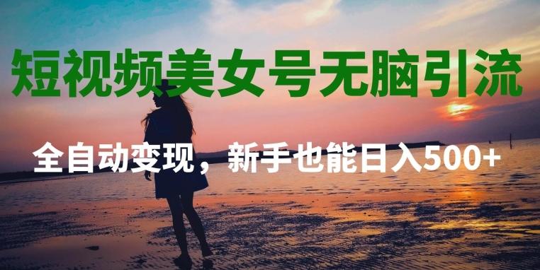 短视频美女号无脑引流,全自动变现,新手也能日入500+