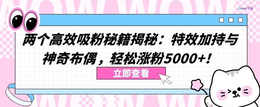 两个高效吸粉秘籍揭秘:特效加持与神奇布偶,轻松涨粉5000+【揭秘】-识享社