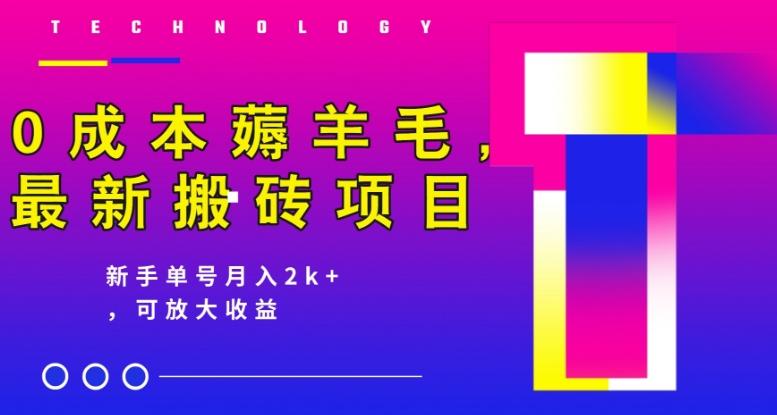 0成本薅羊毛,最新搬砖项目,新手单号月入2k+,可放大操作-识享社