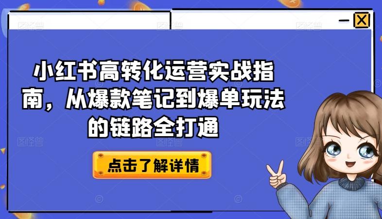 小红书高转化运营实战指南，从爆款笔记到爆单玩法的链路全打通-识享社