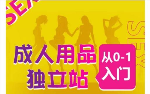 成人用品独立站从0-1入门，成品独立站运营全流程教学，七大好卖成品独立站推荐-识享社
