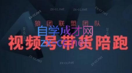 狼团联盟·2024视频号带货-识享社