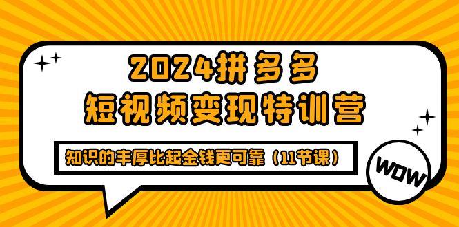 (9817期)2024拼多多短视频变现特训营，知识的丰厚比起金钱更可靠(11节课)-识享社