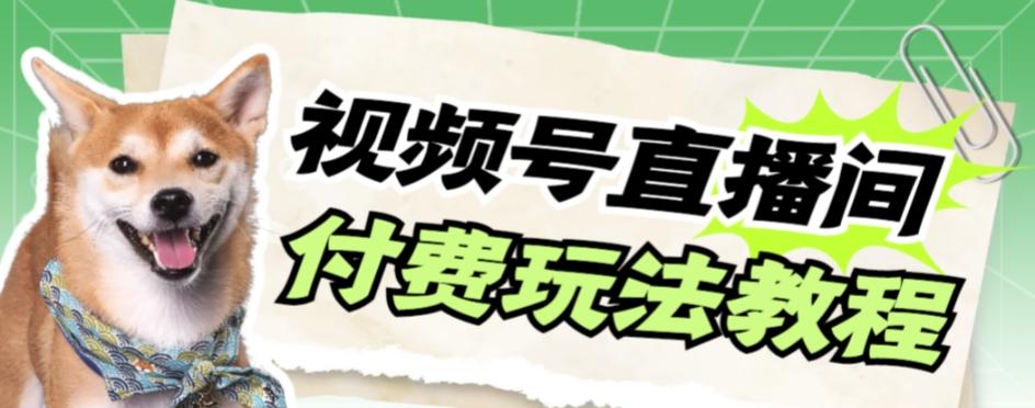 视频号美女付费无人直播，轻松日入500+【详细玩法教程】-识享社