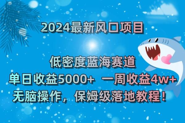 (8545期)2024最新风口项目 低密度蓝海赛道，日收益5000+周收益4w+ 无脑操作，保…-识享社