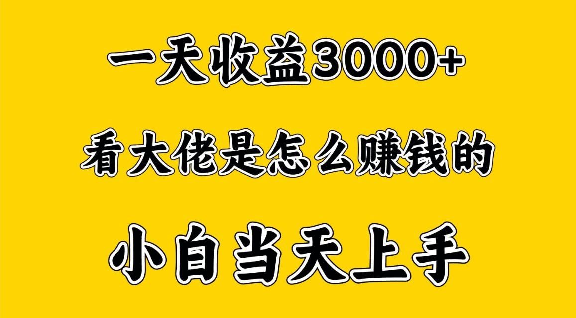 一天赚3000多，大佬是这样赚到钱的，小白当天上手，穷人翻身项目-识享社