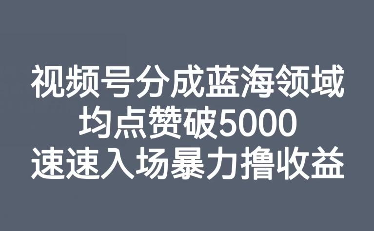 视频号分成蓝海领域，均点赞破5000，速速入场暴力撸收益-识享社