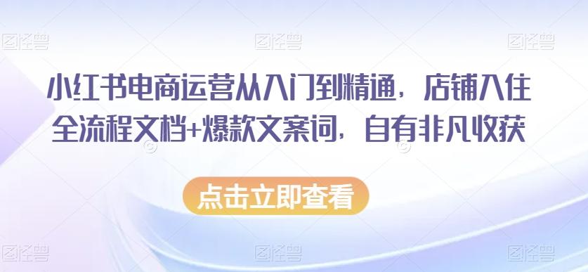 小红书电商运营从入门到精通，店铺入住全流程文档+爆款文案词，自有非凡收获-识享社