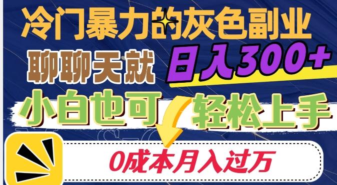 冷门暴利的副业项目，聊聊天就能日入300+，0成本月入过万【揭秘】-识享社