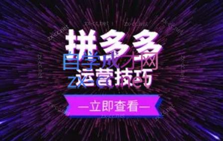 力辛电商·拼多多强付费店群玩法-识享社