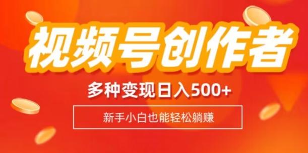 视频号创作者计划,多种变现方式,日入500+【内附1080g视频素材】-识享社