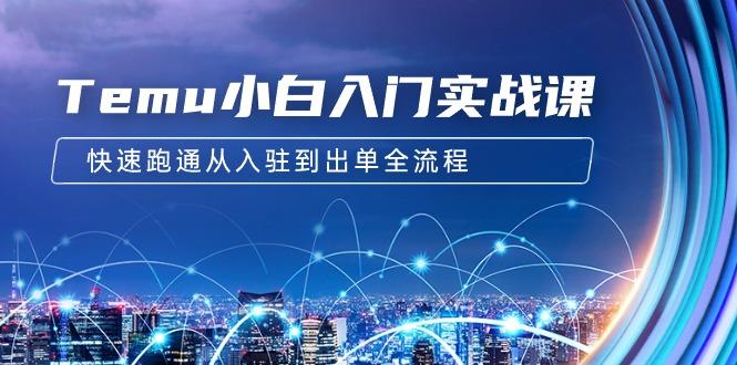 (9295期)Temu小白入门实战课:跨境拼多多电商培训 快速跑通从入驻到出单全流程-12节-识享社