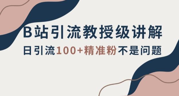 B站引流教授级讲解，细节满满，日引流100+精准粉不是问题【揭秘】-识享社
