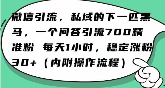 怎么搞精准创业粉?微信新赛道,每天一小时,利用Ai一个问答日引100精准粉-识享社