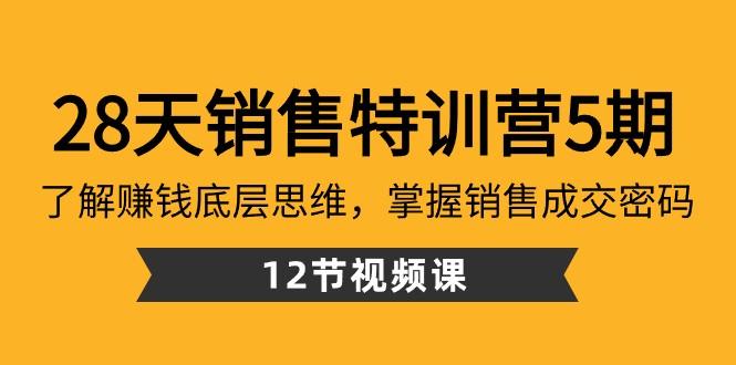 28天销售特训营5期：了解赚钱底层思维，掌握销售成交密码（12节课）-识享社