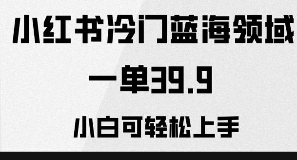 小红书冷门蓝海领域，一单39.9，小白可轻松上手-识享社