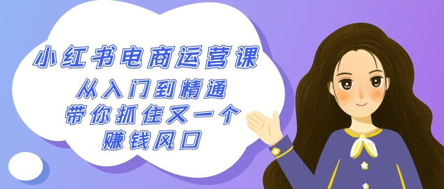 2024小红书电商运营课，从入门到精通，带你抓住又一个赚钱风口(50节课)-识享社