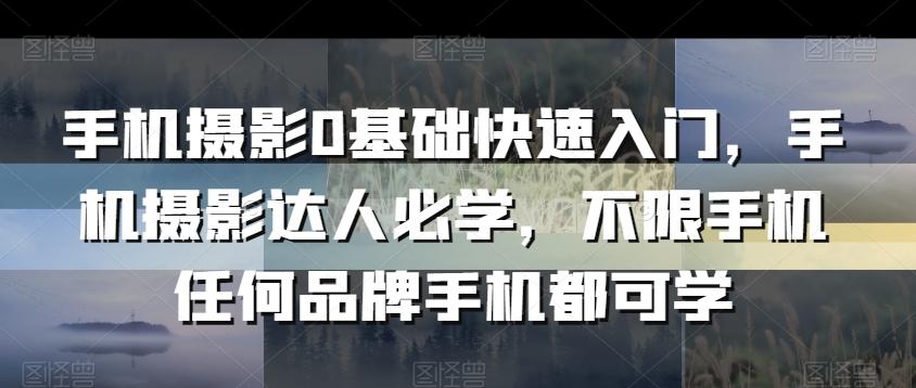 手机摄影0基础快速入门，手机摄影达人必学，不限手机任何品牌手机都可学-识享社