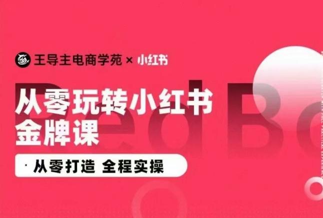 王导主·小红书电商运营实操课，​从零打造  全程实操-识享社