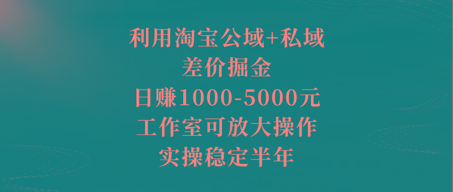利用淘宝公域+私域差价掘金，日赚1000-5000元，工作室可放大操作，实操...-识享社