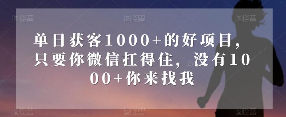 单日获客1000+的好项目，只要你微信扛得住，没有1000+你来找我【揭秘】-识享社
