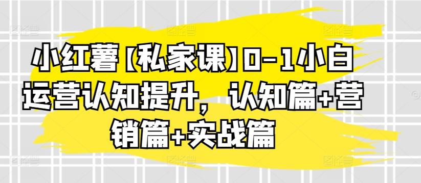 小红薯【私家课】0-1小白运营认知提升，认知篇+营销篇+实战篇-识享社