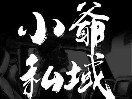 小爷·私域项目操盘手-识享社