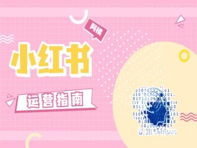 小红书运营指南，没有套路，全是经验-识享社