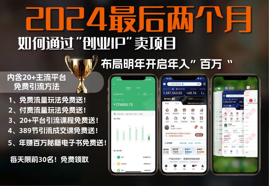 2024最后两个月如何通过”创业IP“卖项目年入”百万“,创业IP+最强引流...-识享社