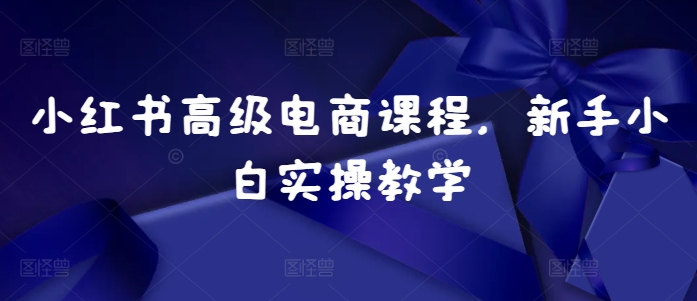 小红书高级电商课程,新手小白实操教学-识享社