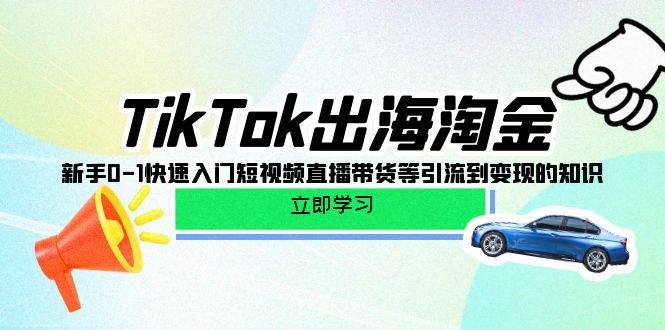 (10035期)TikTok-出海淘金，新手0-1快速入门短视频直播带货等引流到变现的知识-识享社