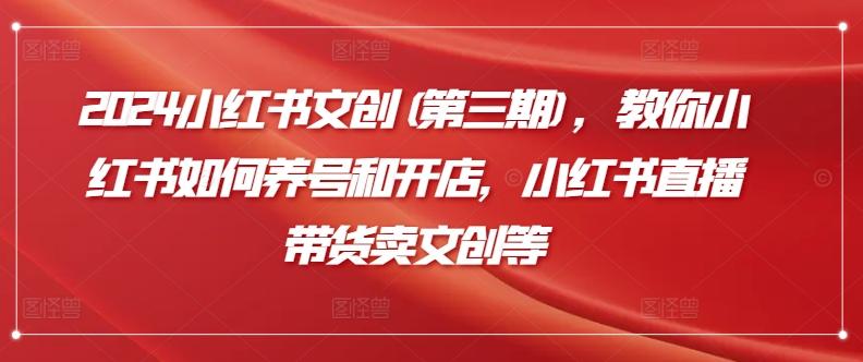 2024小红书文创(第三期)，教你小红书如何养号和开店，小红书直播带货卖文创等-识享社