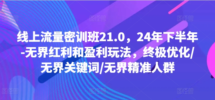线上流量密训班21.0，24年下半年-无界红利和盈利玩法，终极优化/无界关键词/无界精准人群-识享社